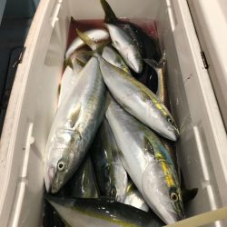 第二八坂丸 釣果