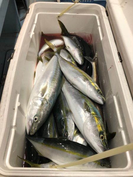 第二八坂丸 釣果