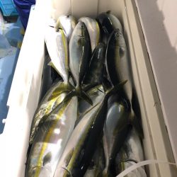 第二八坂丸 釣果