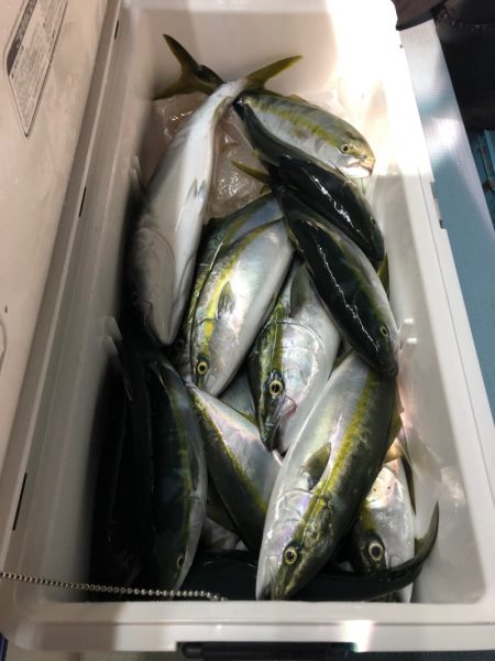 第二八坂丸 釣果