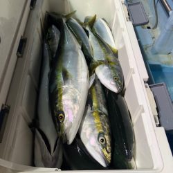 第二八坂丸 釣果