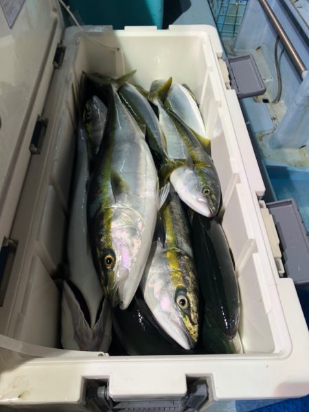 第二八坂丸 釣果