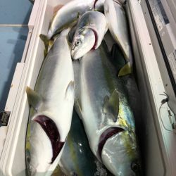 第二八坂丸 釣果