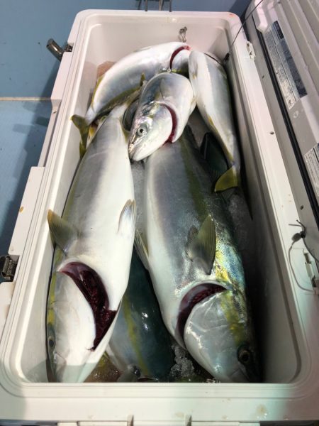 第二八坂丸 釣果