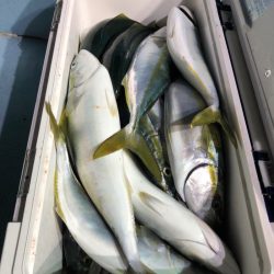 第二八坂丸 釣果