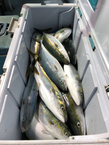 第二八坂丸 釣果