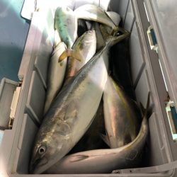 第二八坂丸 釣果