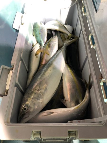 第二八坂丸 釣果