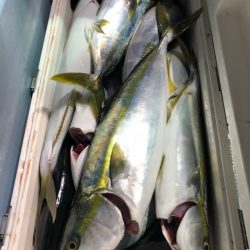 第二八坂丸 釣果