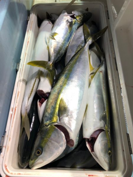 第二八坂丸 釣果