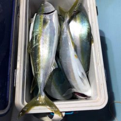 第二八坂丸 釣果