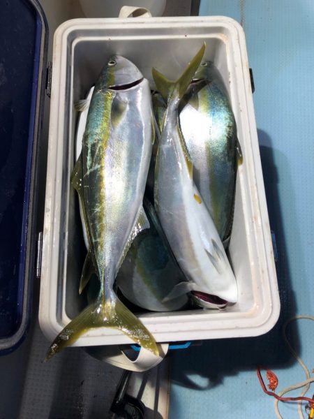 第二八坂丸 釣果