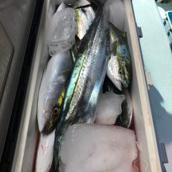 第二八坂丸 釣果