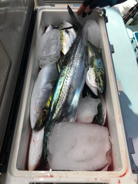 第二八坂丸 釣果