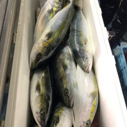 第二八坂丸 釣果