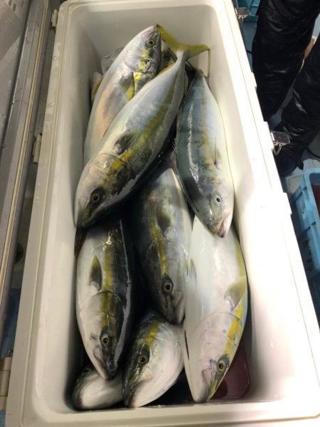 第二八坂丸 釣果