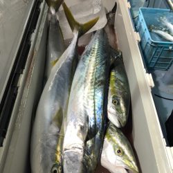 第二八坂丸 釣果