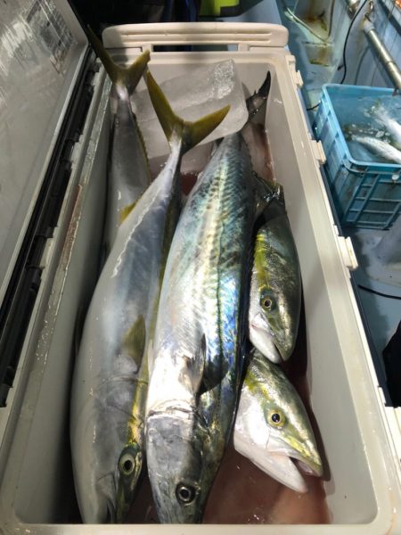 第二八坂丸 釣果