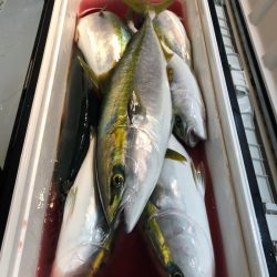 第二八坂丸 釣果