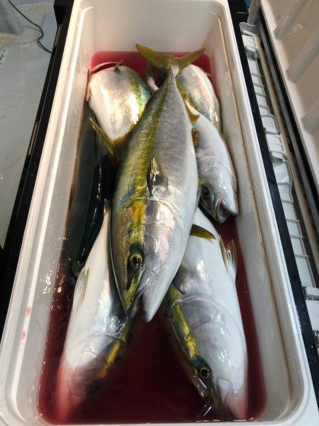 第二八坂丸 釣果