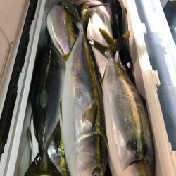 第二八坂丸 釣果