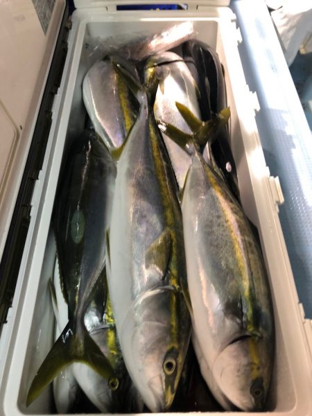 第二八坂丸 釣果