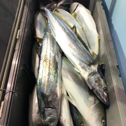 第二八坂丸 釣果