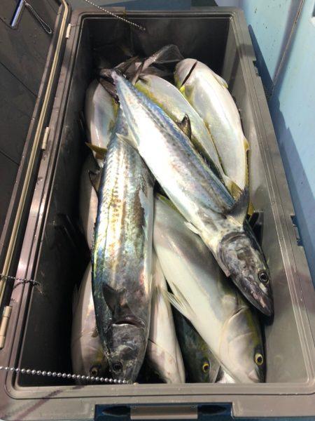 第二八坂丸 釣果