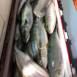 第二八坂丸 釣果