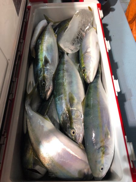 第二八坂丸 釣果