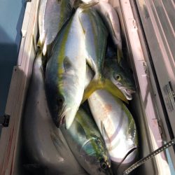 第二八坂丸 釣果