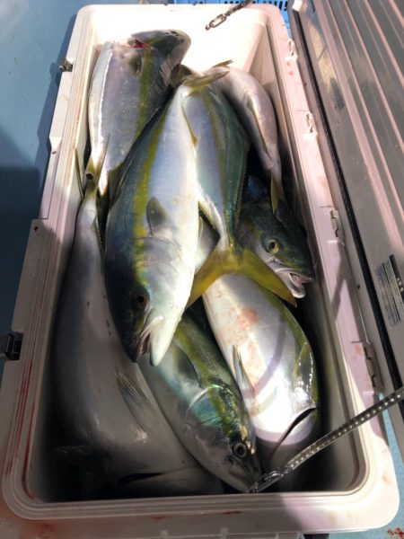 第二八坂丸 釣果