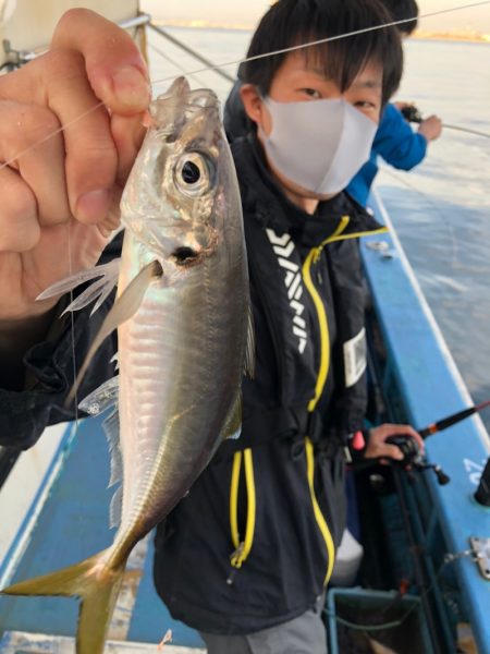 ヤザワ渡船 釣果