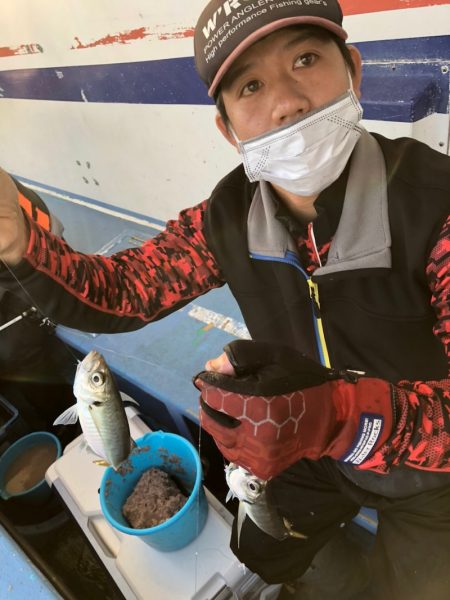 ヤザワ渡船 釣果