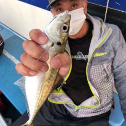 ヤザワ渡船 釣果