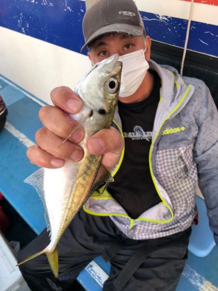 ヤザワ渡船 釣果