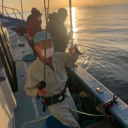 ヤザワ渡船 釣果