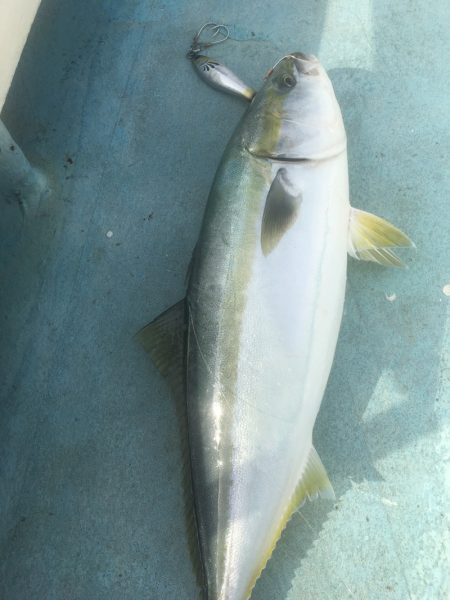 ぽん助丸 釣果