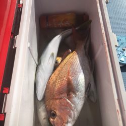 第二八坂丸 釣果