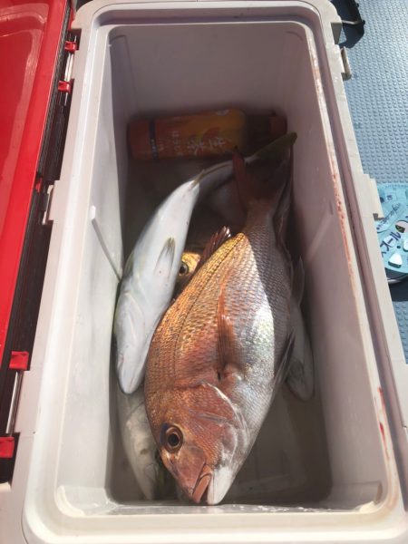 第二八坂丸 釣果