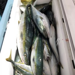 第二八坂丸 釣果