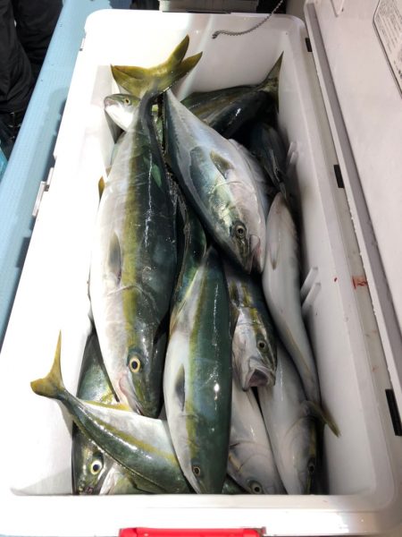 第二八坂丸 釣果