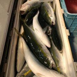 第二八坂丸 釣果