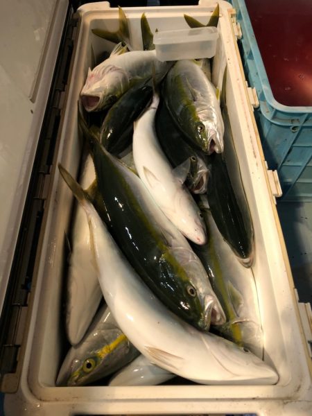 第二八坂丸 釣果