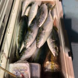 第二八坂丸 釣果