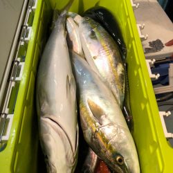 第二八坂丸 釣果