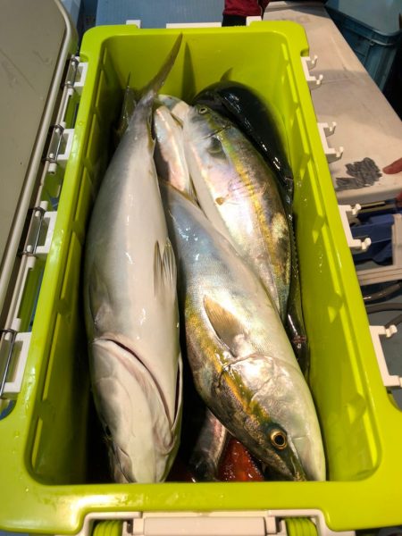 第二八坂丸 釣果