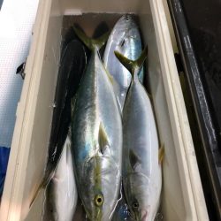 第二八坂丸 釣果