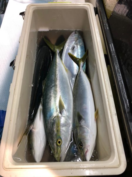 第二八坂丸 釣果