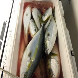 第二八坂丸 釣果